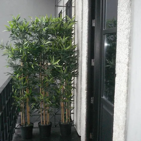 Apartment Flat Dom Manuel Ii